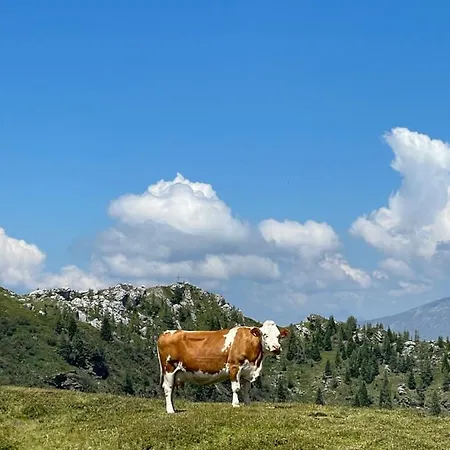 阿姆休特巴德司徒贝度假屋 度假居 Patergassen