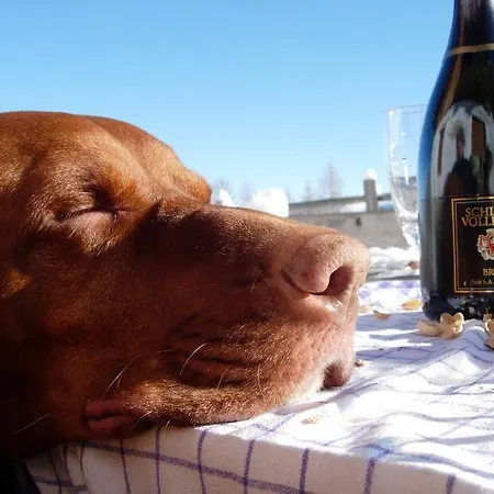 阿姆休特巴德司徒贝度假屋 度假居