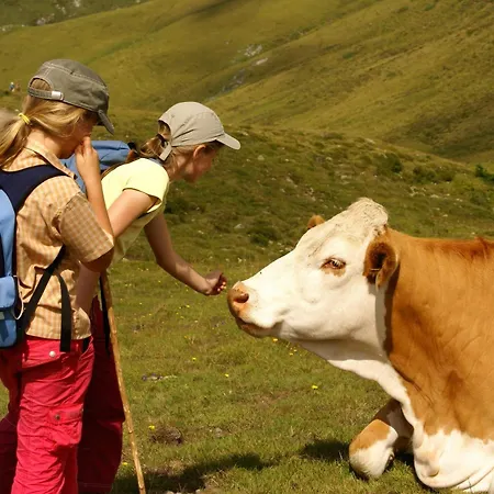 阿姆休特巴德司徒贝度假屋