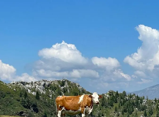 Almhuette Badstube Σπίτι διακοπών Patergassen