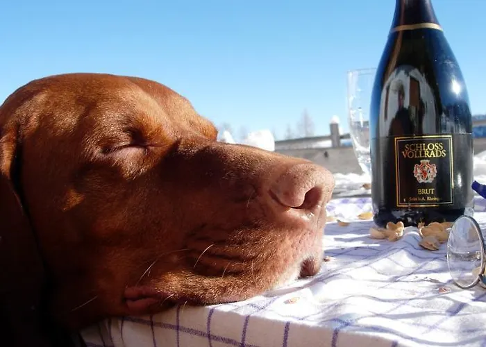 Almhuette Badstube Σπίτι διακοπών