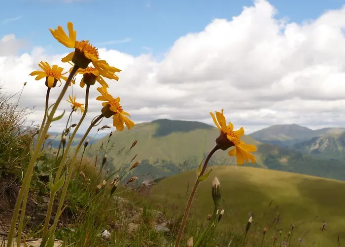 Feriehus Almhuette Badstube