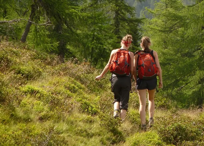 Almhuette Badstube *